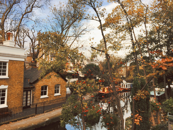 Autum Inspiration -  Travel with Increscent to Little Venice